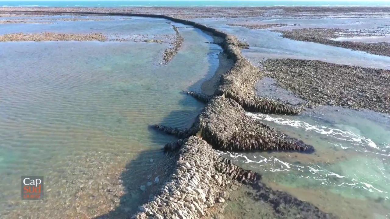 Les Pieds Dans L'Eau Acces Direct A La Plage La Cotinière Extérieur photo