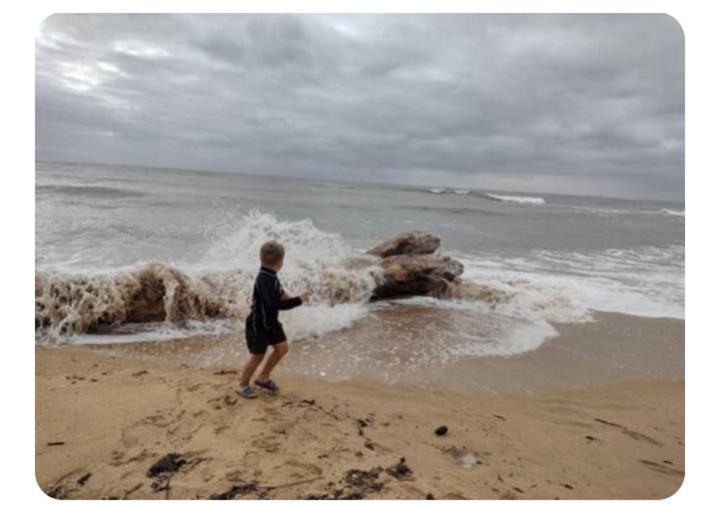 Les Pieds Dans L'Eau Acces Direct A La Plage La Cotinière Extérieur photo