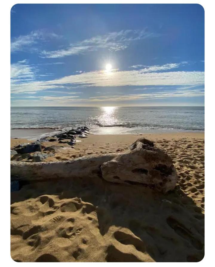 Les Pieds Dans L'Eau Acces Direct A La Plage La Cotinière Extérieur photo