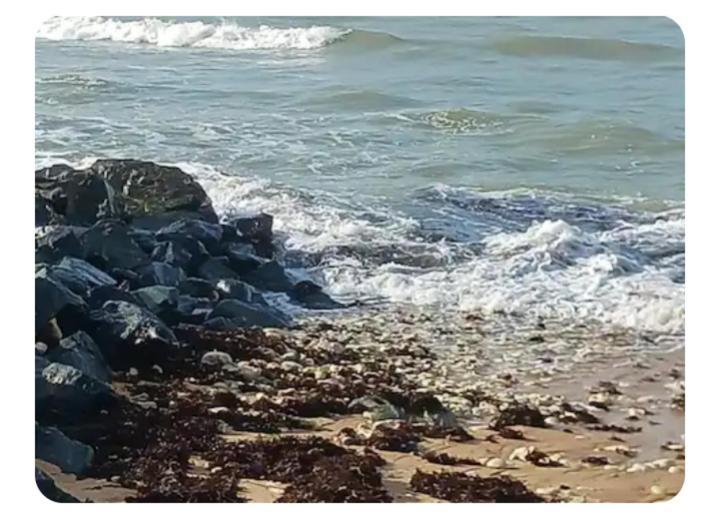 Les Pieds Dans L'Eau Acces Direct A La Plage La Cotinière Extérieur photo